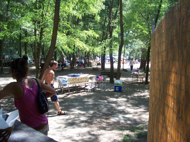  Image name: Estate017.jpg 
 width: 801 pixel 
 height: 602 pixel 
 Size: 518309 bytes 
 Click to enlarge 